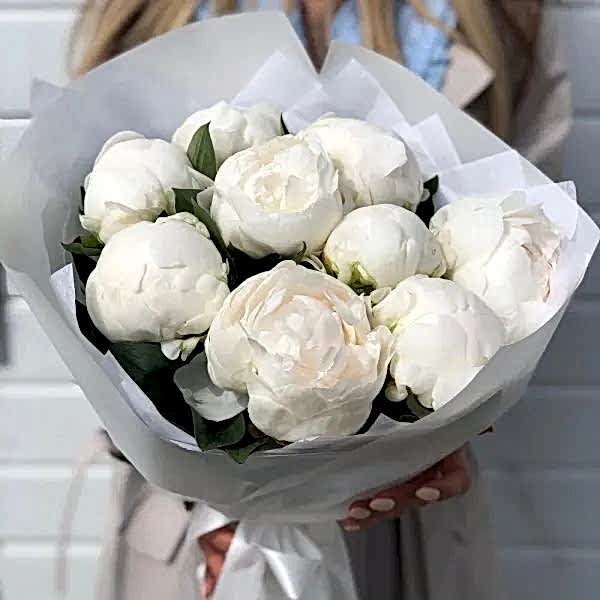 White peony - Product image