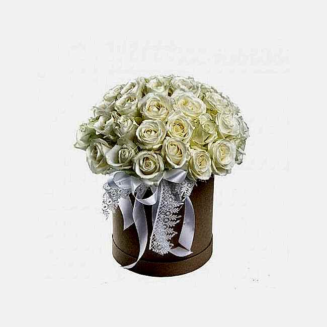 Box of White Roses - Product image