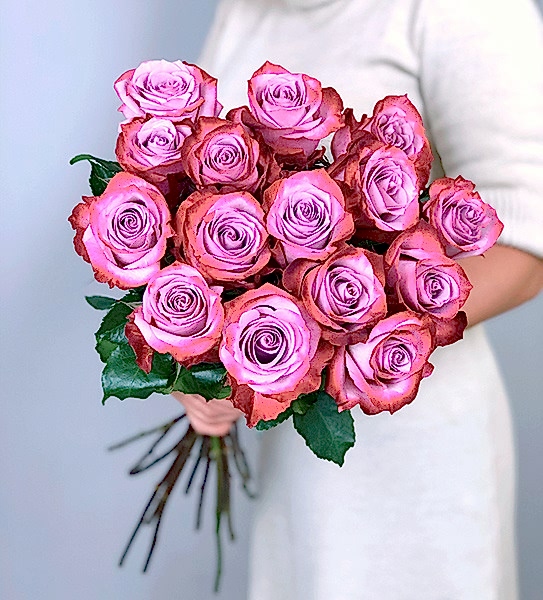 Deep Purple Roses - Product image