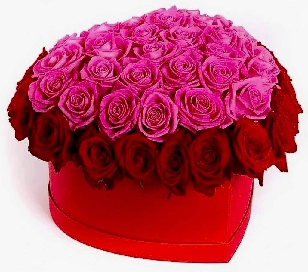 Red and Pink Hearth - Product image