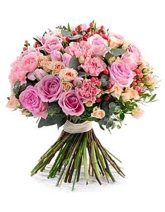 Blush Harmony - Product image