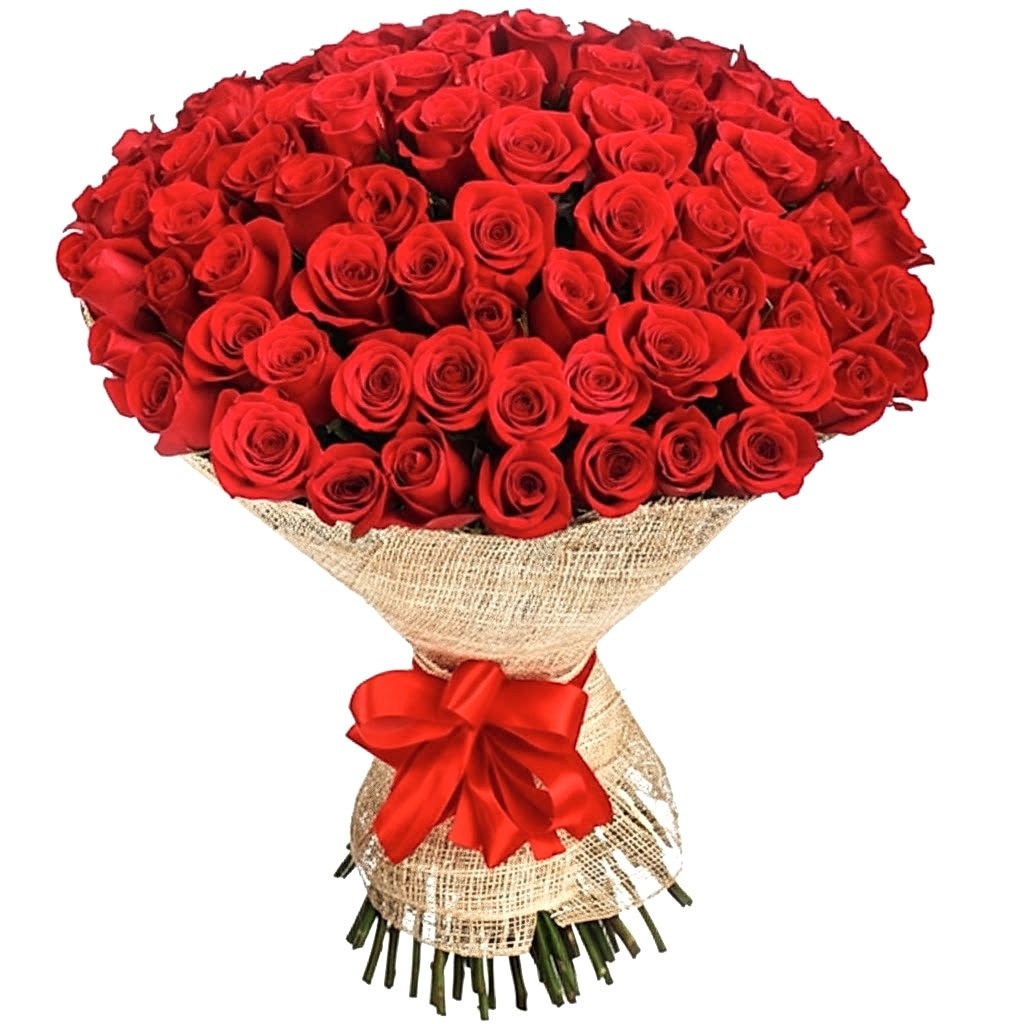 101 Red premium Roses - Roses