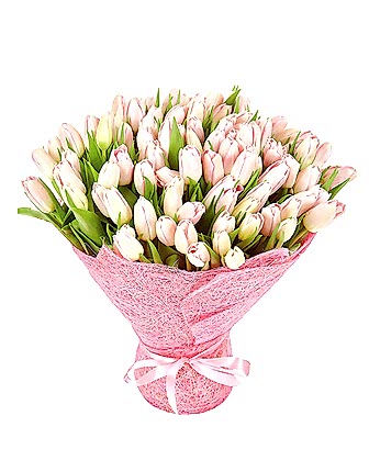101 Pink Tulips - Get Well Soon Flowers