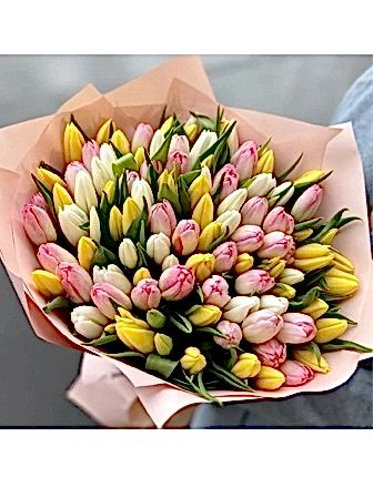 101 Pastel Tulips Bouquet - Tulips