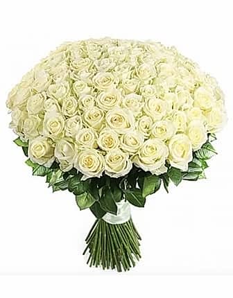 101 White Roses Bouquet - Congratulations Flowers