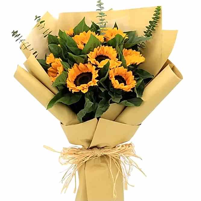 11 Sun flowers - Flower delivery in Azərbaycan
