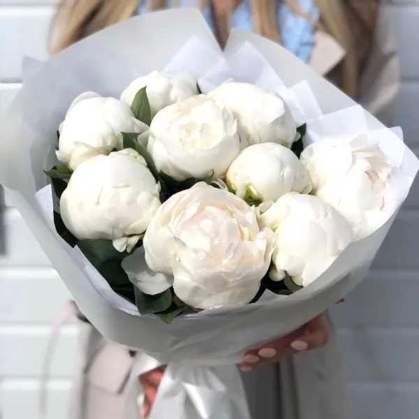 White peony  - Flower delivery in Azərbaycan