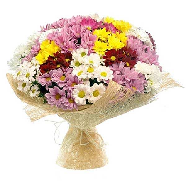 15 branches Colorful Daisy Bouquet - Get Well Soon Flowers
