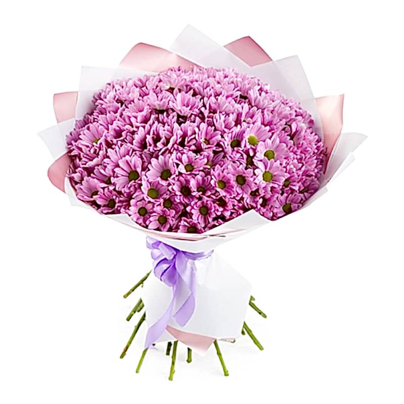 15 Pink Daisies - Get Well Soon Flowers