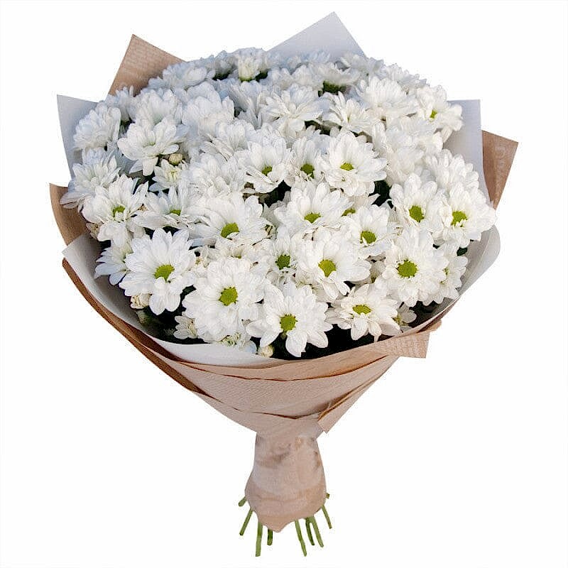 White daisy Bouquet - Congratulations Flowers