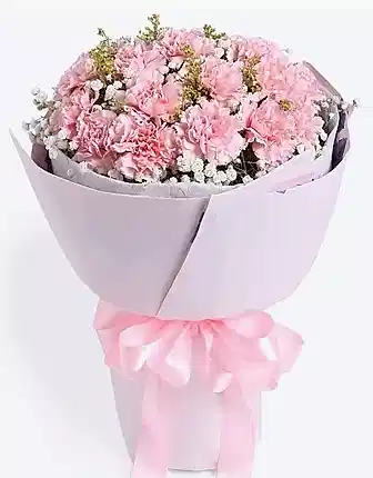 19 steams pink carnation - Mother's Day Flowers