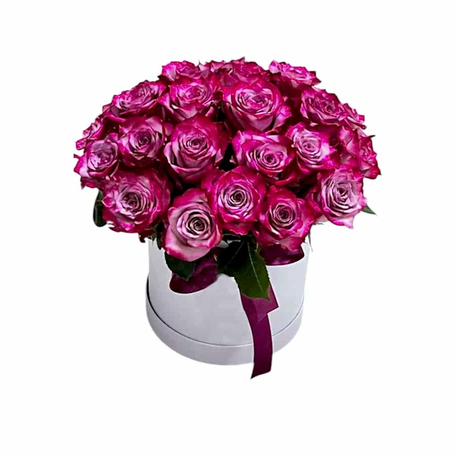 Arrangement Deep Purple Roses in a Box - Congratulations Flowers