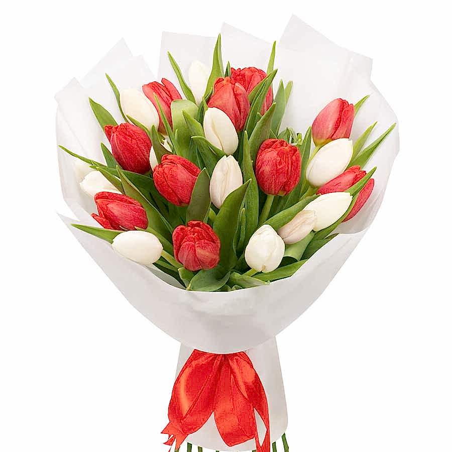 Bouquet, 21 Pink and White Tulips - Get Well Soon Flowers