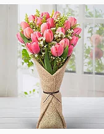 Fresh pink Tulips - Tulips