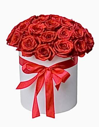 21 Red Roses in Box - Congratulations Flowers