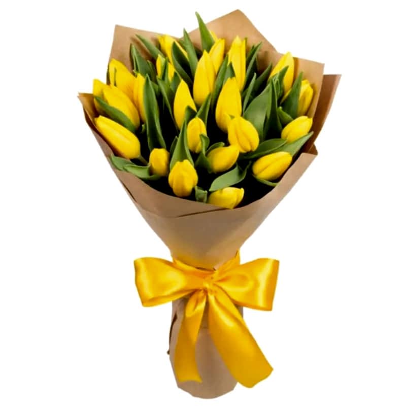 Fresh yellow tulips - Tulips