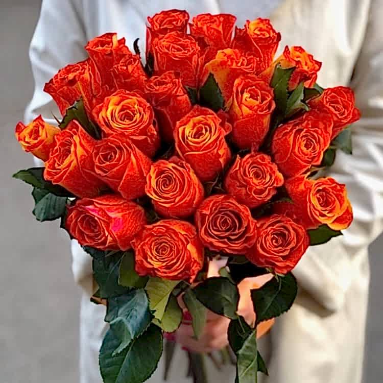 Orange Roses Orange Roses - Orange roses
