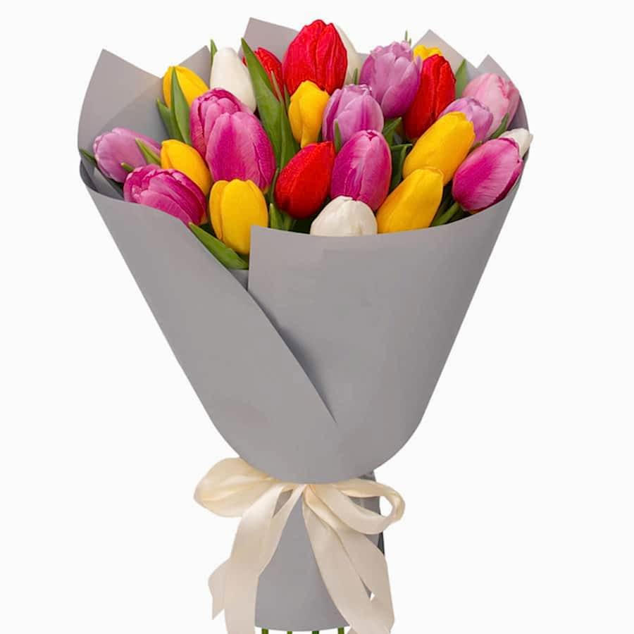 Bouquet, 25 multi-colored tulips - Tulips