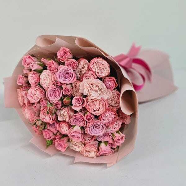 25 Pink spray Roses - Roses