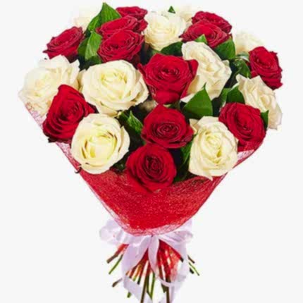 25 White and Red Roses - Roses