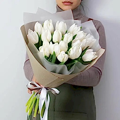 Fresh White Tulips Fresh White Tulips - Tulips