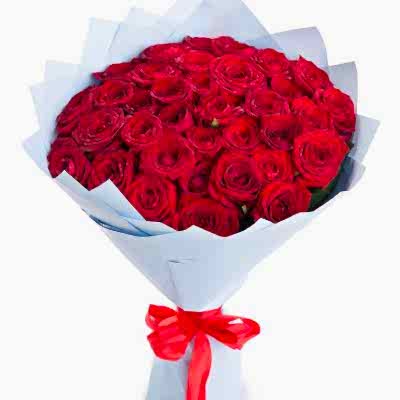 31 Red roses - Roses