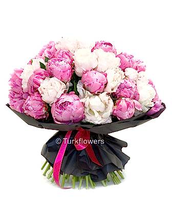 35 Pink and white Peony - Congratulations Flowers