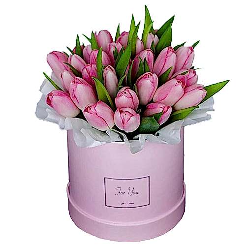 35 pink tulips in box - Birthday Flowers