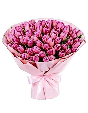 51 Pink Tulips - Get Well Soon Flowers