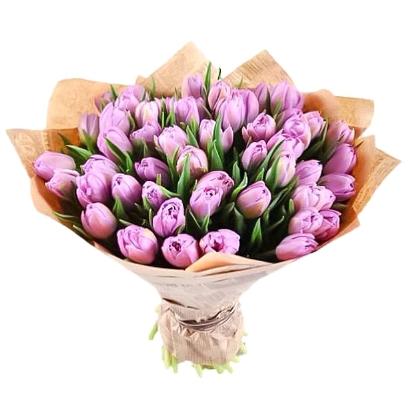 51 Lilac Tulips - Tulips