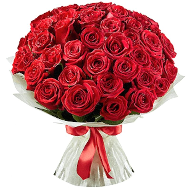 51 Red  Premium Roses Bouquet - Roses