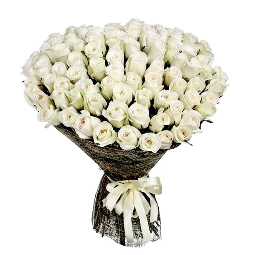 51 white Roses Bouquet - Congratulations Flowers
