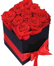 9 Red roses in Box - Roses