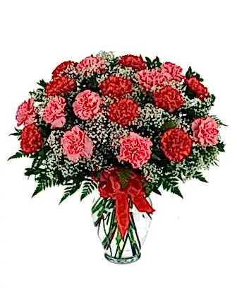 Beautiful Carnations - Women's Day Flowers