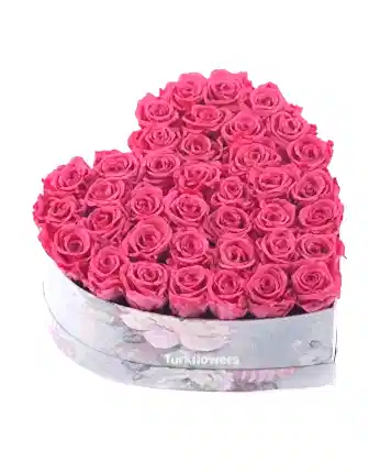 Pink Hearth - 35 Pink Roses - Roses