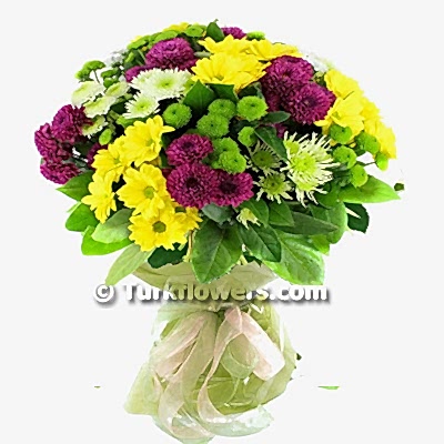 Colorful chrysanthemum Buquet - Congratulations Flowers