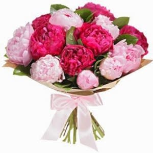 Dark pink and light pink peony - Peony