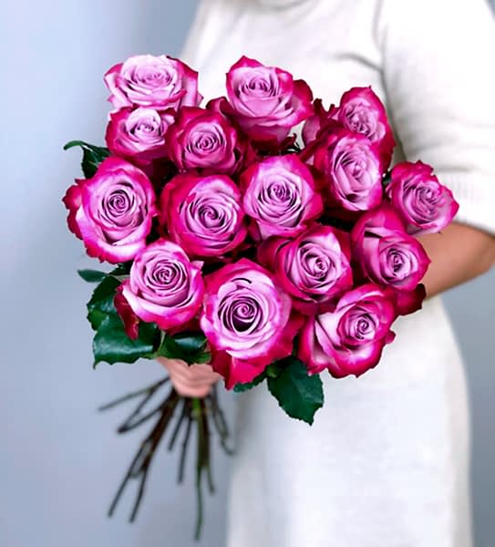 Deep Purple Roses  - Flower delivery in Azərbaycan