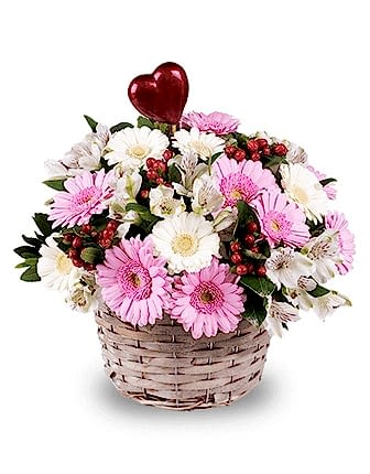 Pink and White Mini Gerberas - Congratulations Flowers