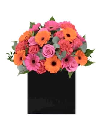 Vibrant Joy Box Arrangement - Congratulations Flowers