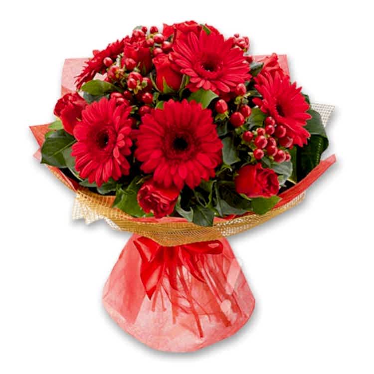 Red Gerbera & Roses Bouquet - Gerbera Daisies