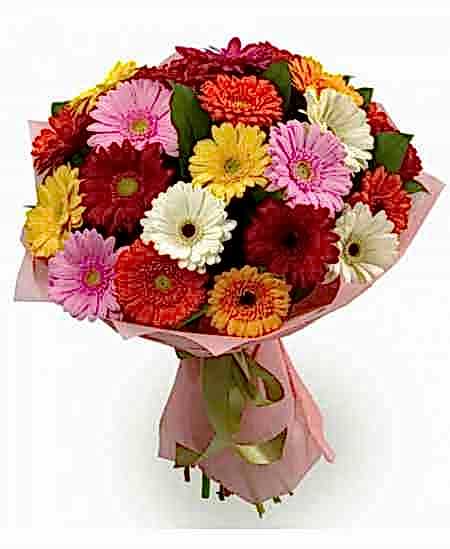 21 Gerbera Bouquet - Congratulations Flowers