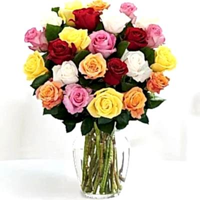 25 Red Roses in Vase - Roses