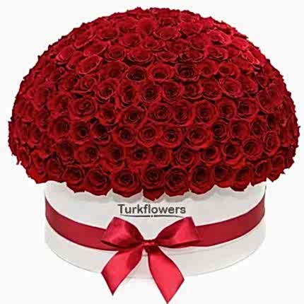 Luxury Box with 151 Red Roses - Flowers in the Box