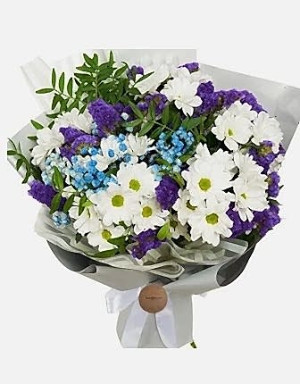 White and Blue Daisy Bouquet - Get Well Soon Flowers