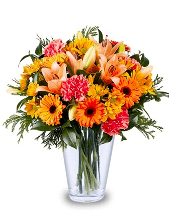 Lilies and Carnations - Congratulations Flowers