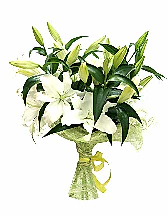 5 Lily Bouqhet - Congratulations Flowers