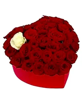 Loving You Hearth Box - Roses