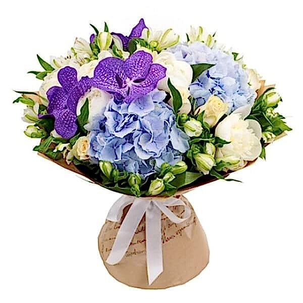 Blue Hydrangea & Purple Orchid Bouquet - Congratulations Flowers