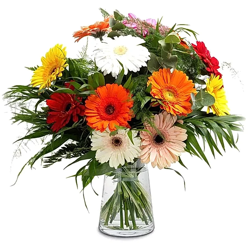 Colored world - Congratulations Flowers